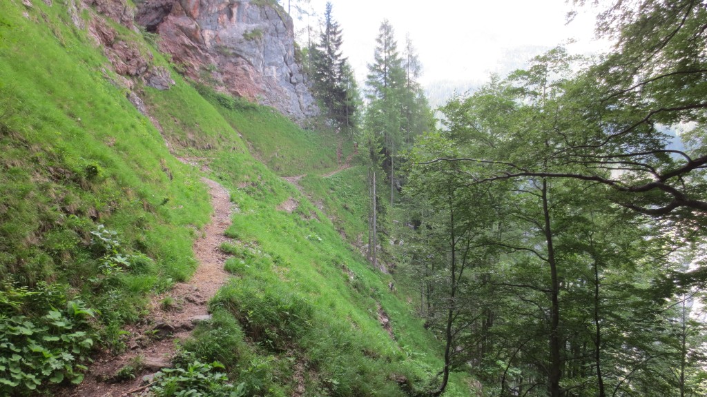 Der Reitweg oberhalb des Obersees